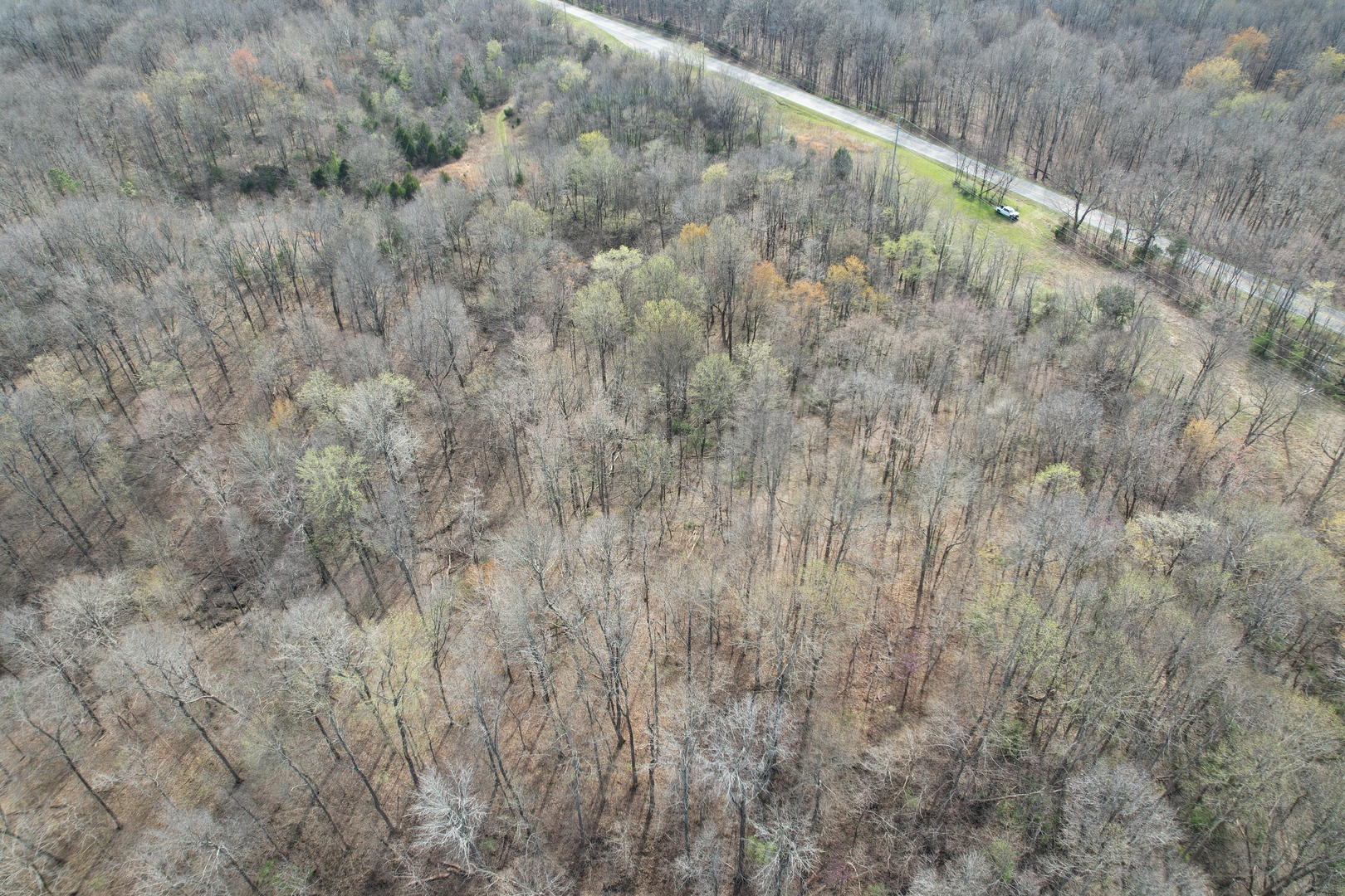 Il Highway Highway 145 Road Metropolis, IL 62960 - Photo 5 of 25