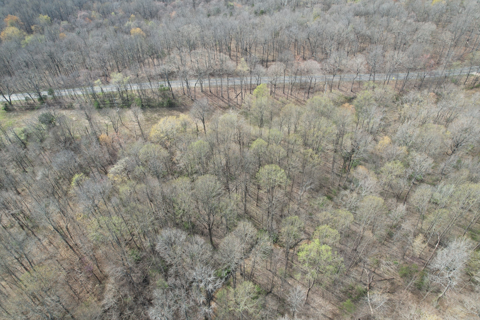 Il Highway Highway 145 Road Metropolis, IL 62960 - Photo 7 of 25