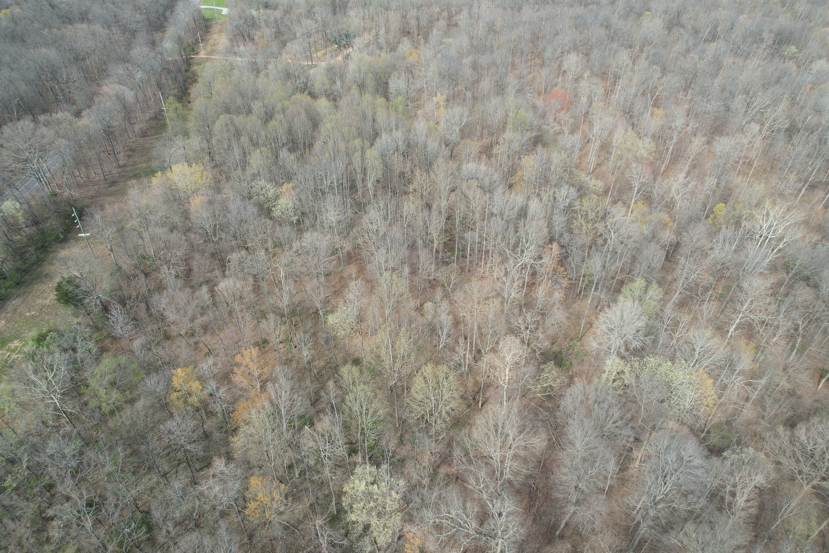 Il Highway Highway 145 Road Metropolis, IL 62960 - Photo 8 of 25