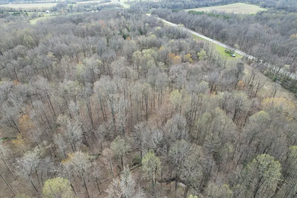 a view of a dry yard