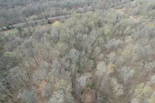 a view of a dry yard