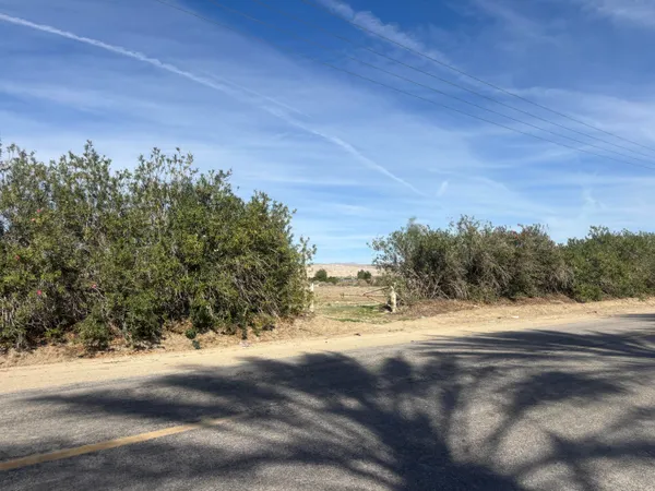 a view of dirt field with trees around