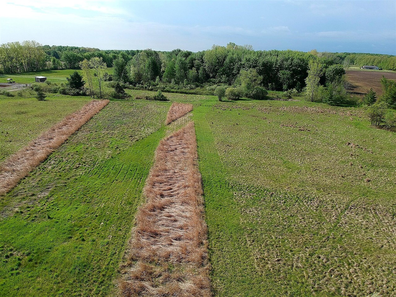 9227 Yager Road Columbus, MI 48063 - Photo 5 of 62