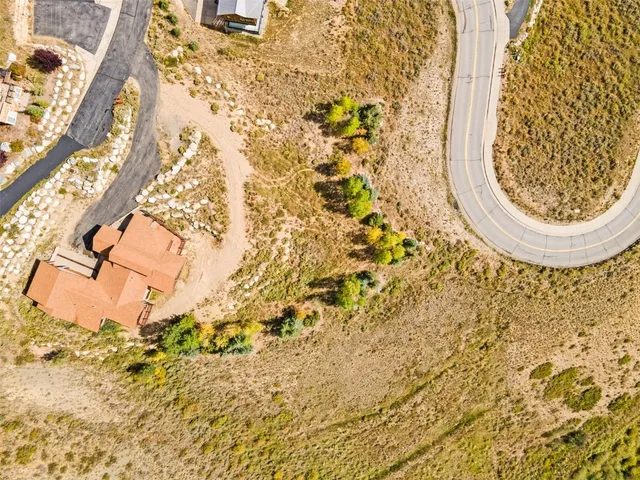 view of a vase with flower plants