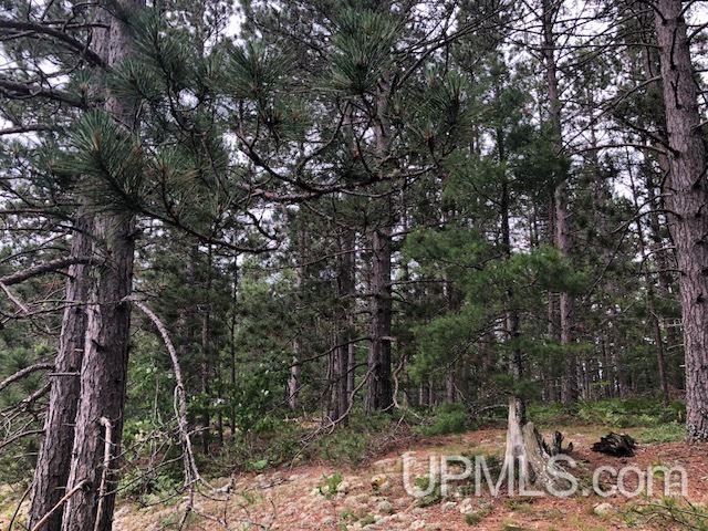 Tbd Adams Trail Seney, MI 49883 - Photo 4 of 16