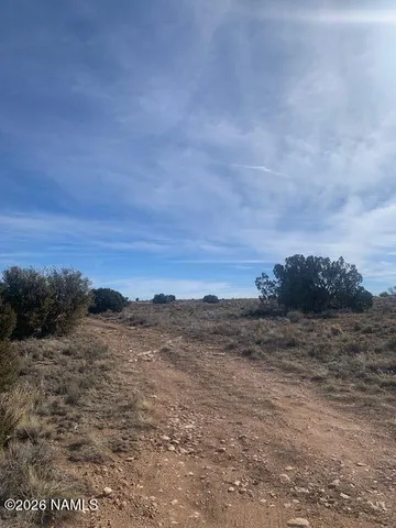 a view of ocean view with large trees