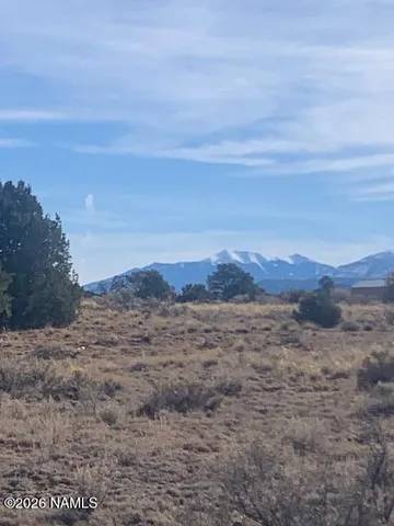 a view of a dry field with mountains in the background