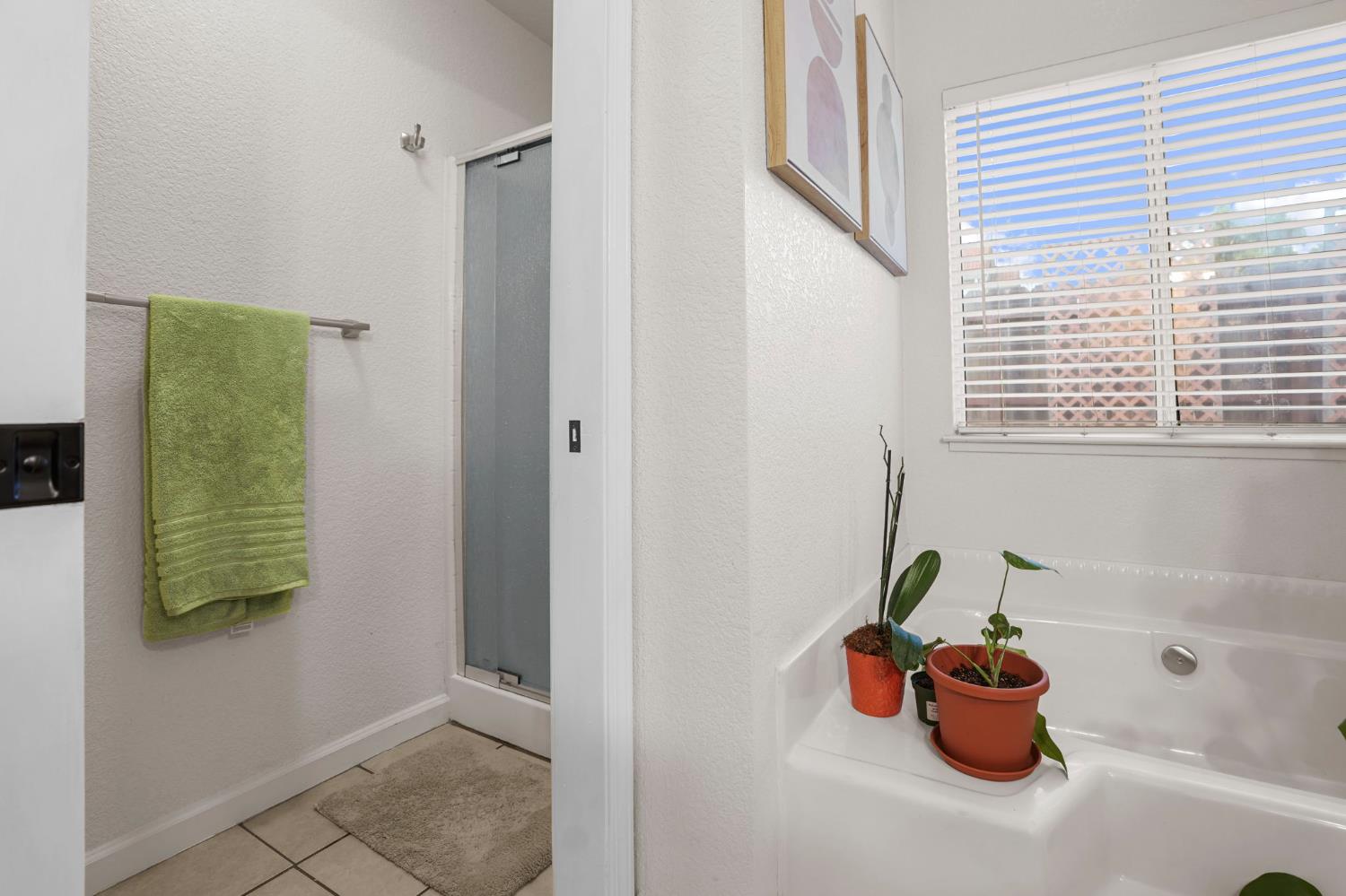 1017 Jayhawk Way Modesto, CA 95358 - Photo 16 of 32 a bathroom with a tub