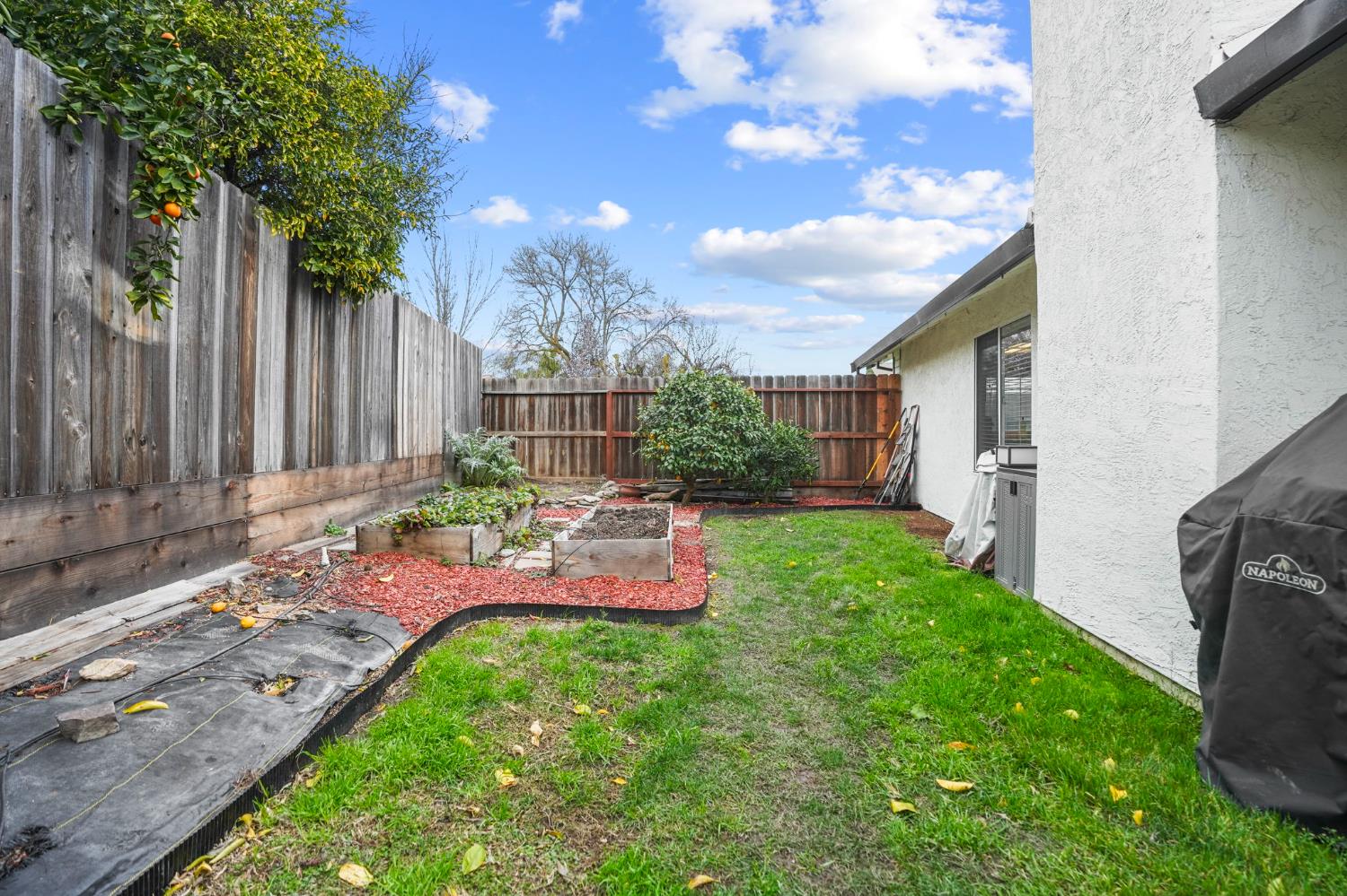 1017 Jayhawk Way Modesto, CA 95358 - Photo 27 of 32 a view of a backyard with couches plants and large tree