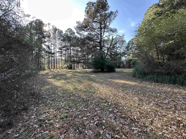 a view of dirt yard with a large tree