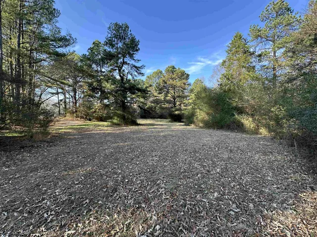 a view of dirt yard with a large tree