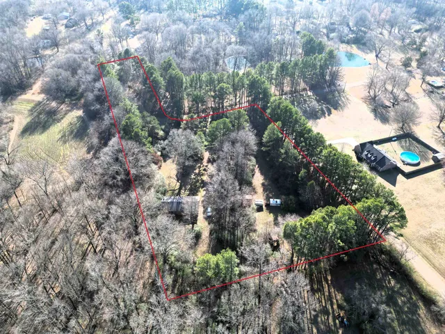 a view of a garden with plants and trees