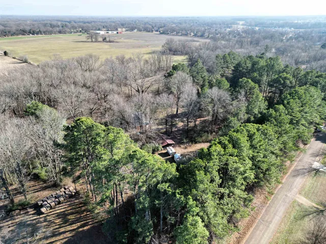 a view of a lake with a mountain and trees