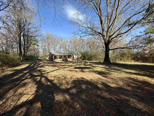 a view of street with large trees