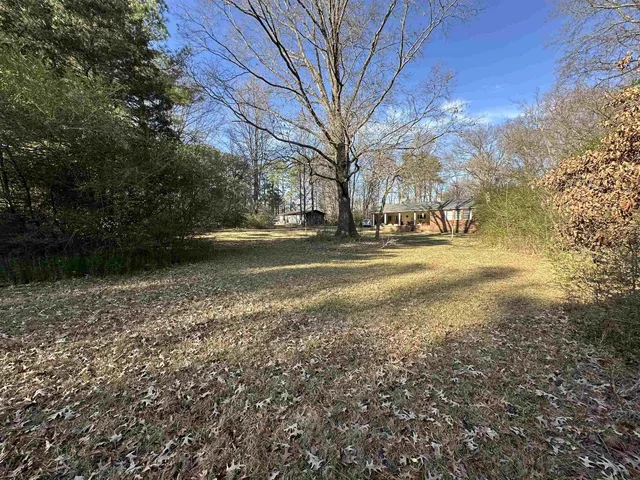 a view of road with large trees