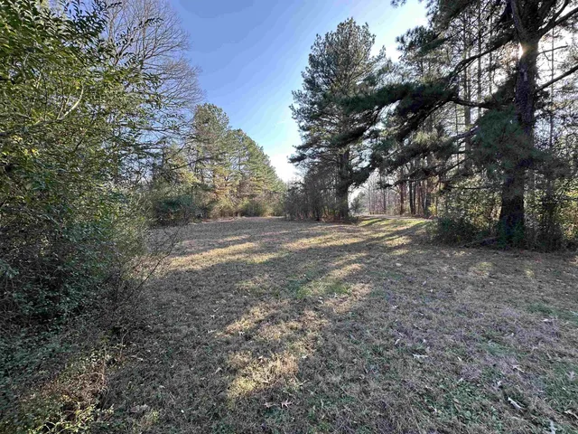 a view of dirt field with trees