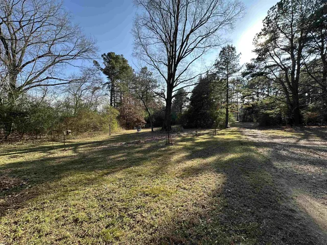 a view of a yard with a large tree