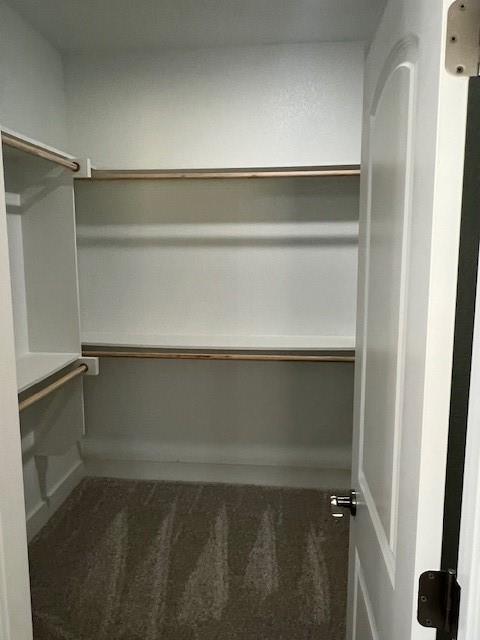 3003 Steepleridge Circle Granbury, TX 76048 - Photo 7 of 8 a close view of closet