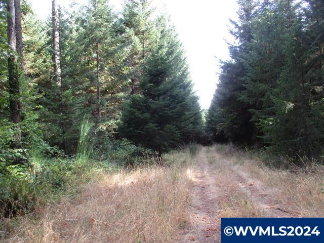 0 Northwest Crane (3) Road Yamhill, OR 97148 - Photo 1 of 14