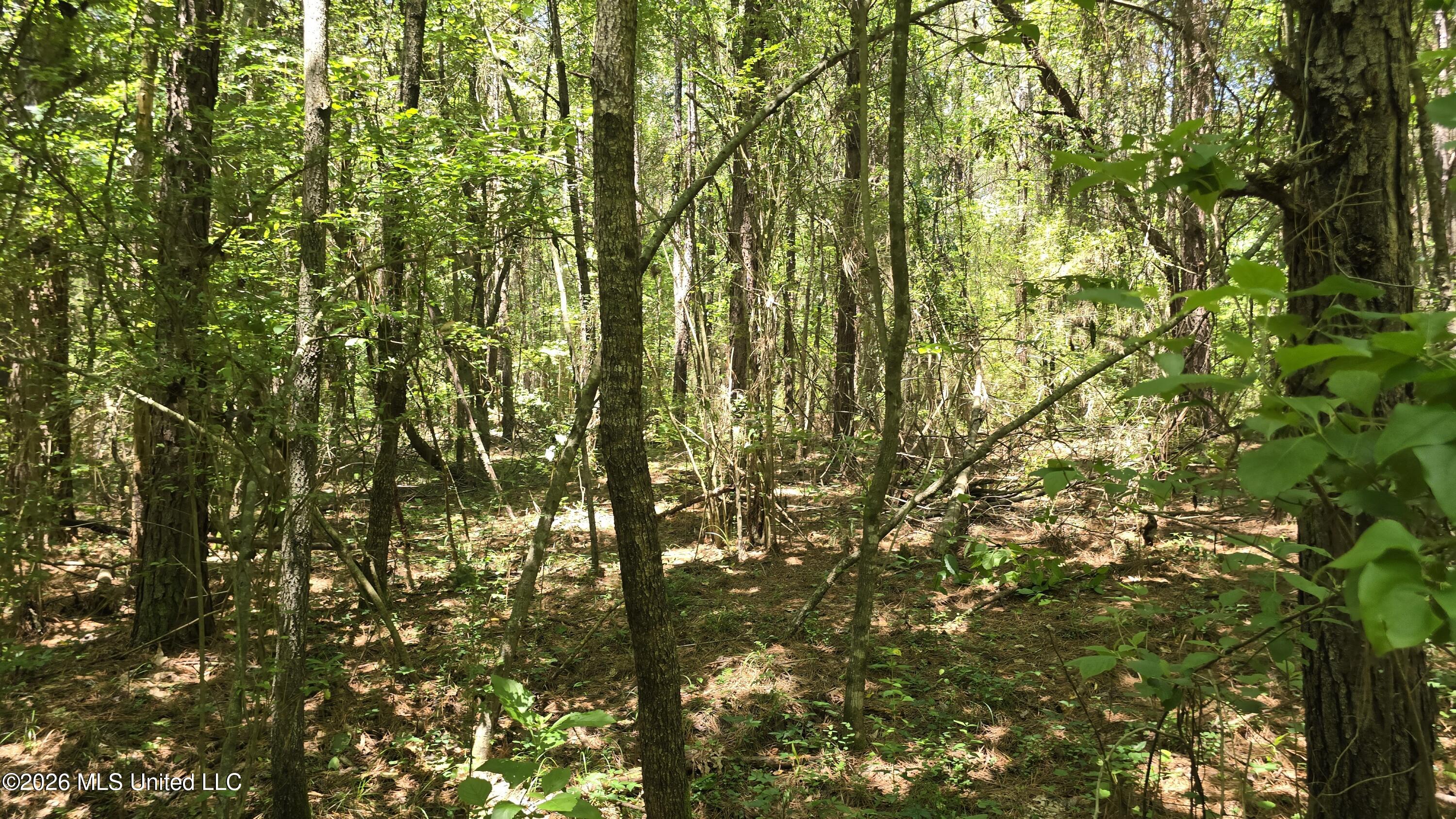 189 Co Road Bay Springs, MS 39422 - Photo 40 of 61 20260513_120736