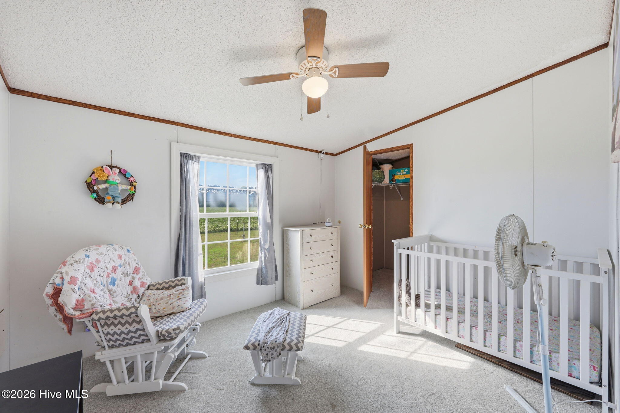 252 Heath Swamp Road Cove City, NC 28523 - Photo 31 of 55