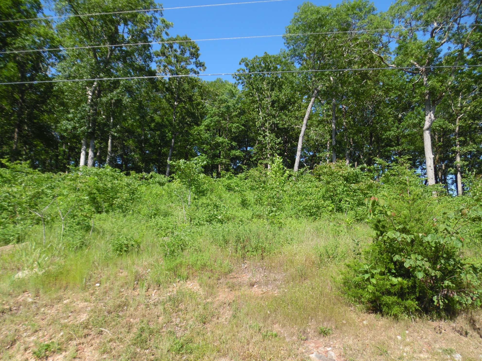 83-85 Adam Loop Bath Springs, TN 38311 - Photo 1 of 9