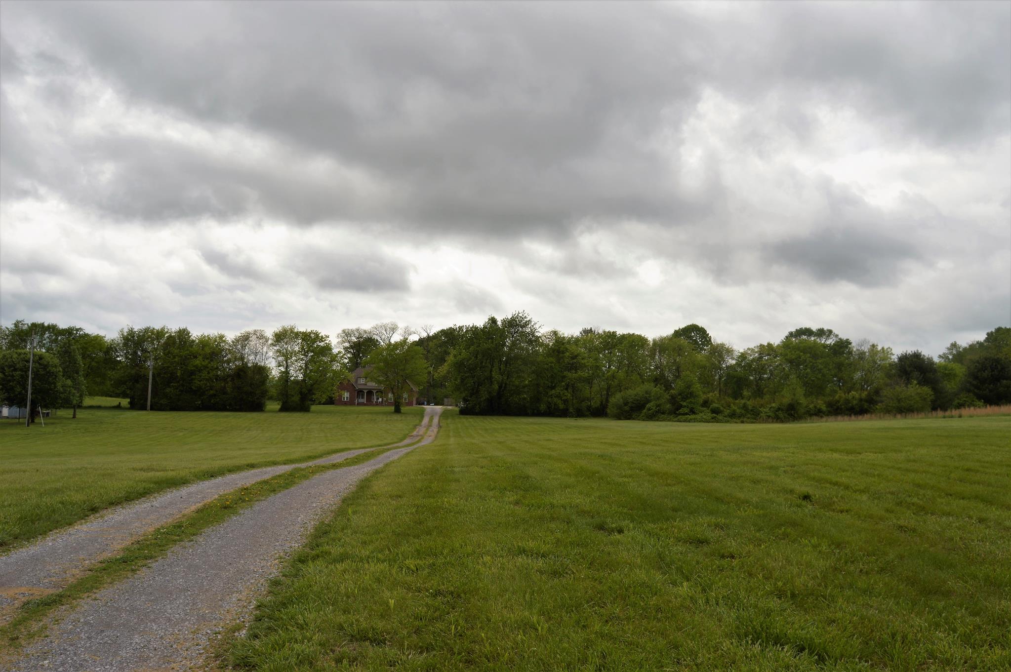 110 Country Estates Road Bell Buckle, TN 37020 - Photo 5 of 30 Gallery Image 5