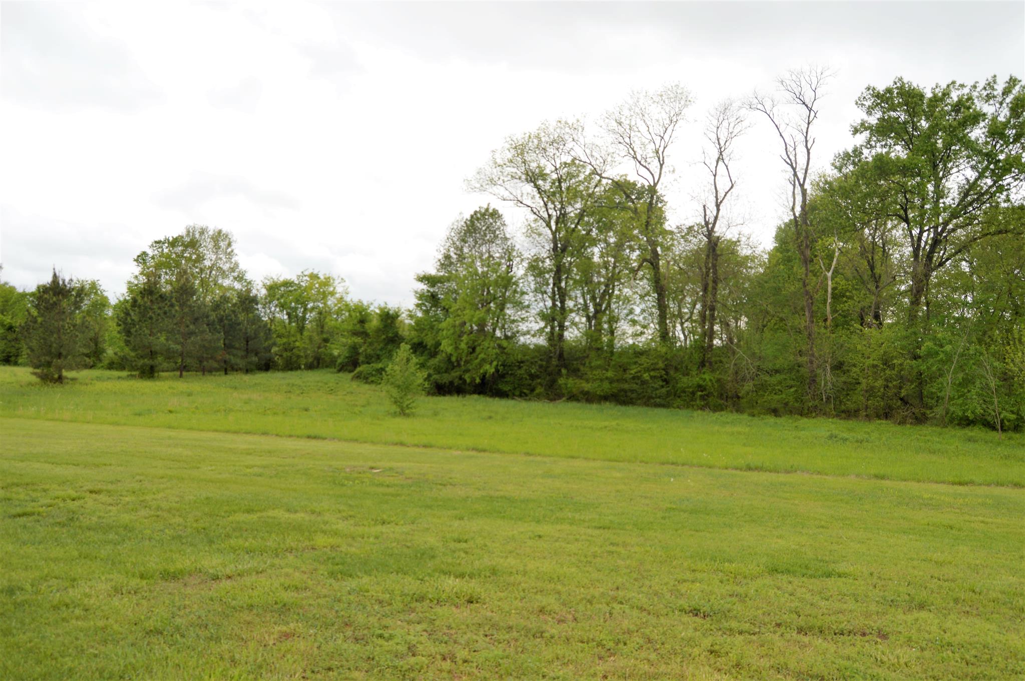 110 Country Estates Road Bell Buckle, TN 37020 - Photo 7 of 30 Gallery Image 7