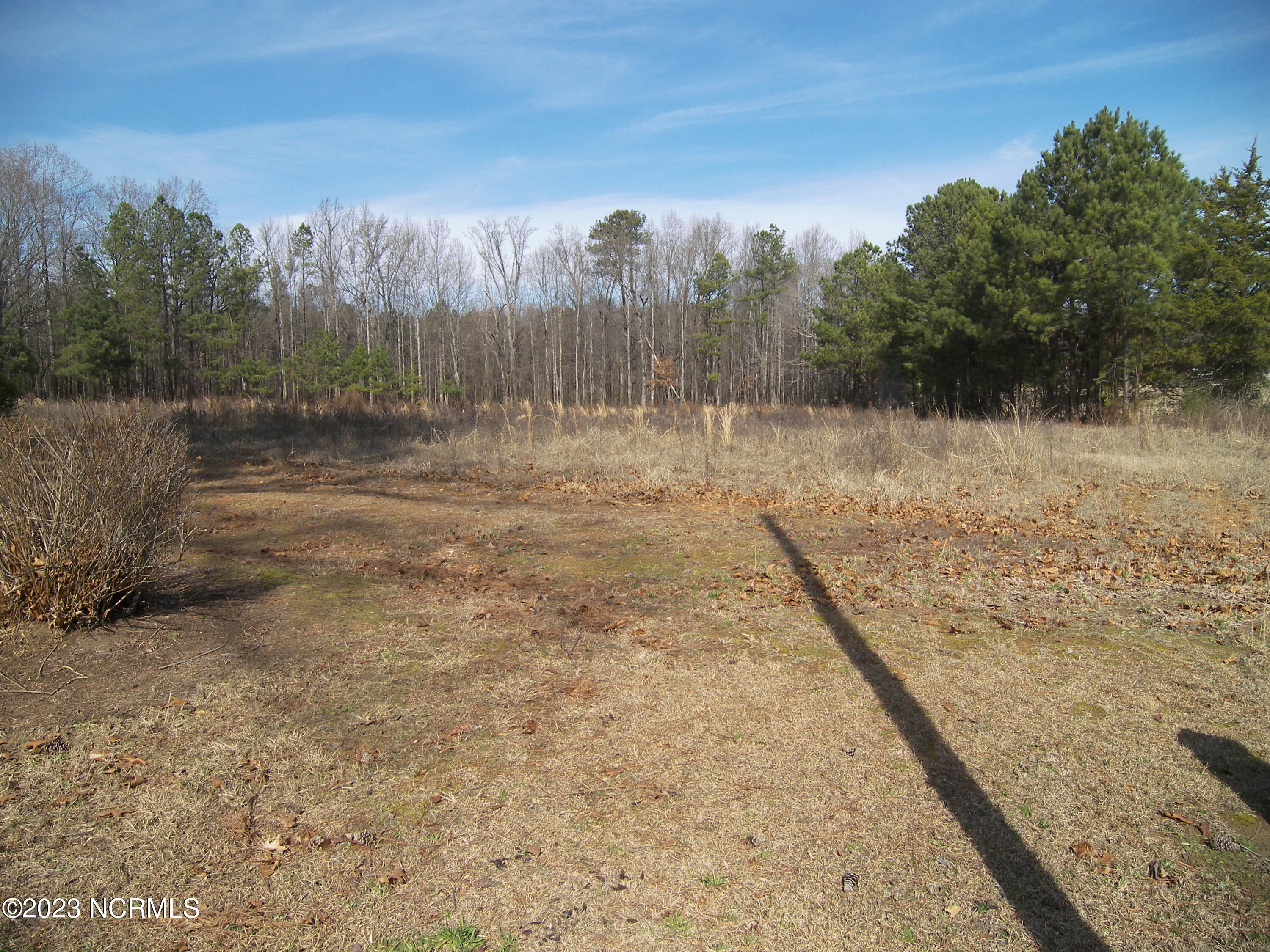 8872 Pleasant Grove Church Road Spring Hope, NC 27882 - Photo 2 of 14 100_7879