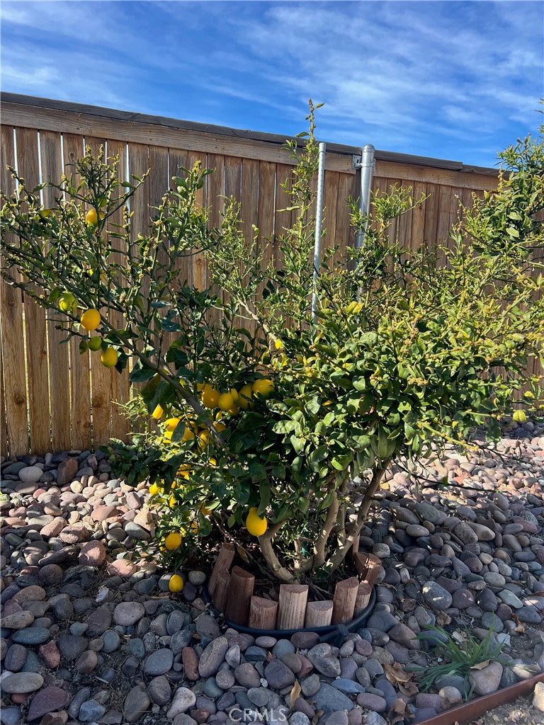1433 Fall Brook Road Beaumont, CA 92223 - Photo 29 of 33 a front view of a house with a yard