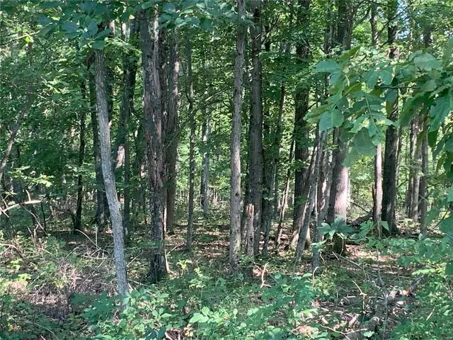 $550,000 | 25 Polston Lane, Marthasville, MO 63357