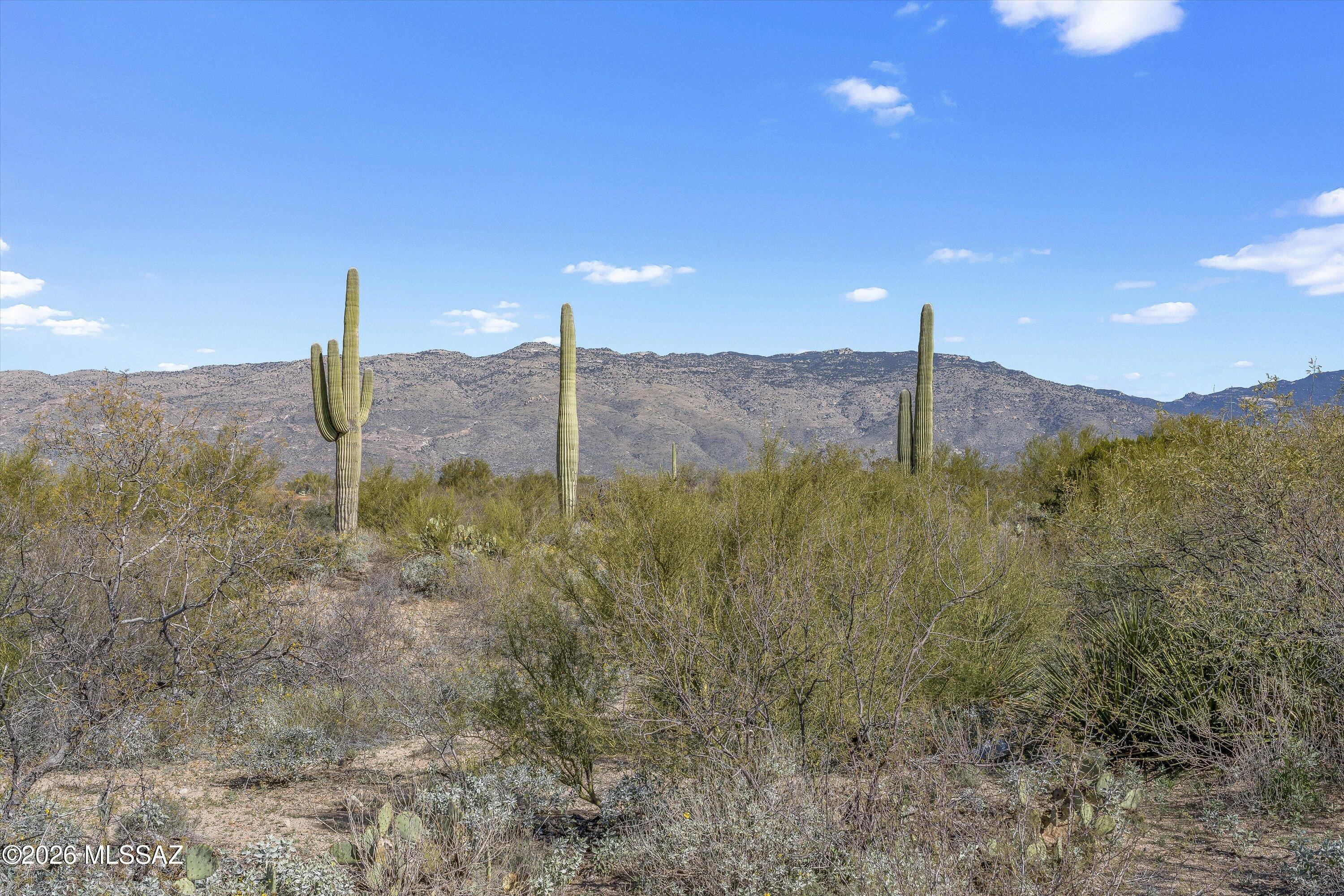 8293 South Tumbling Y Ranch Place, Unit 142 Vail, AZ 85641 - Photo 3 of 30