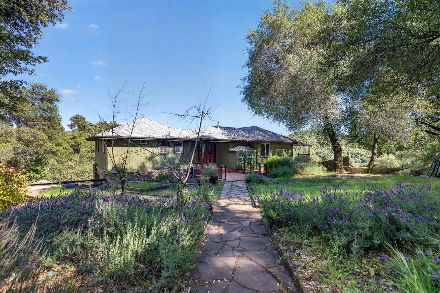 4450 Cosumnes View Trail Placerville, CA 95667 - Photo 44 of 69