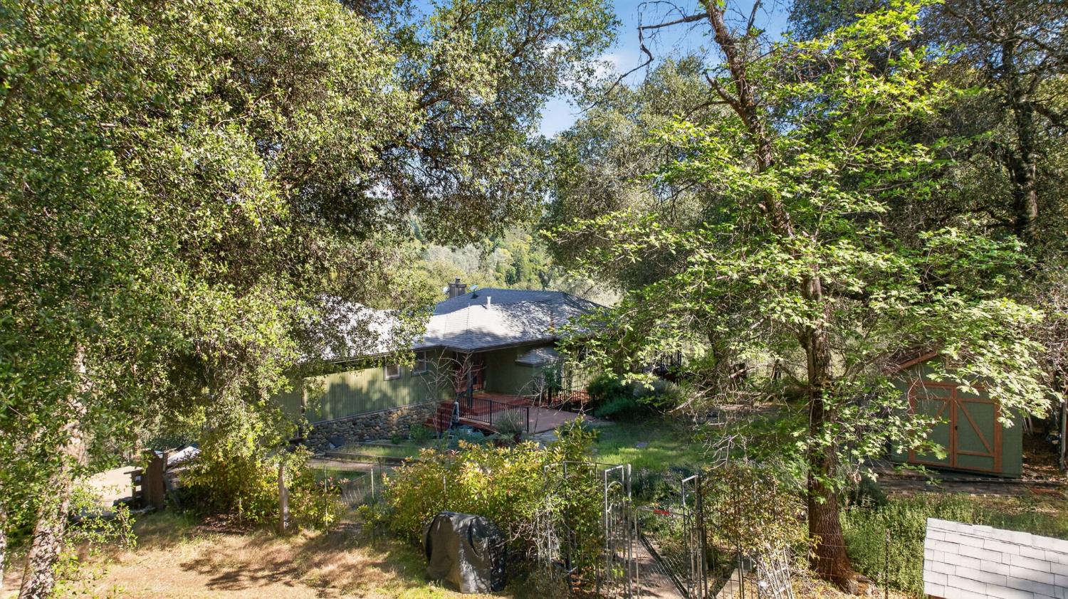 4450 Cosumnes View Trail Placerville, CA 95667 - Photo 50 of 69 a view of a garden with a bench and some trees