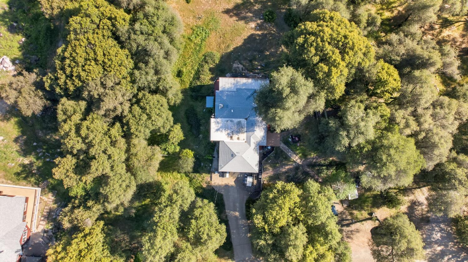 4450 Cosumnes View Trail Placerville, CA 95667 - Photo 55 of 69