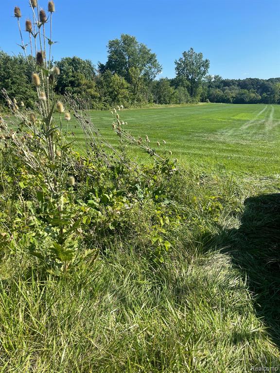0 Pennsylvania Road Romulus, MI 48174 - Photo 2 of 5