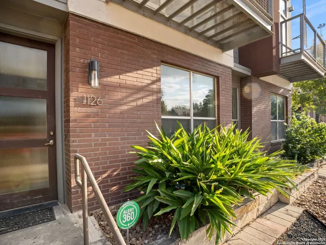 a potted plant sitting in front of a door