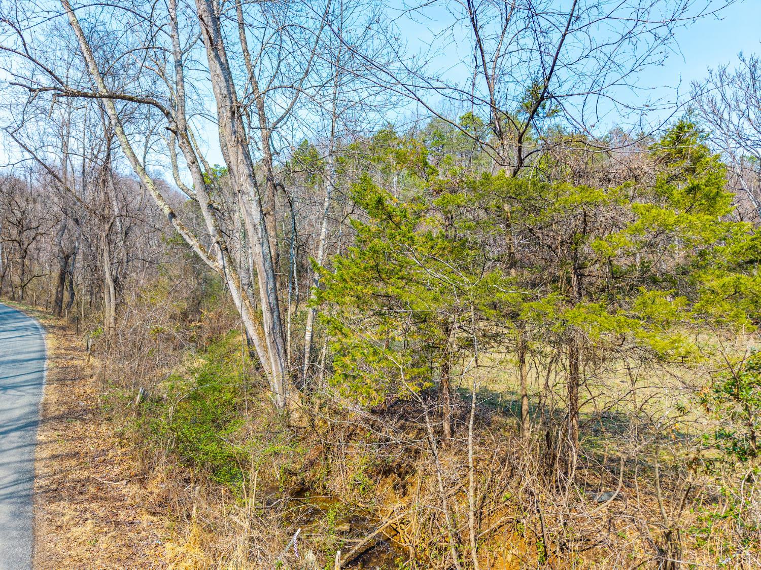 0 Puppy Creek Road Amherst, VA 24521 - Photo 6 of 37
