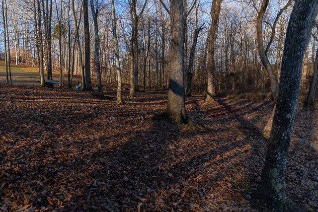 109 Refuge North Road Dover, TN 37058 - Photo 3 of 41 Gallery Image 3