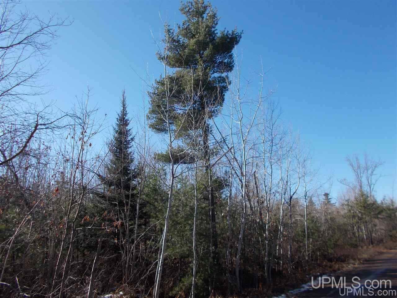 74-acres 74-acres Off Co Road Negaunee, MI 49866 - Photo 7 of 17