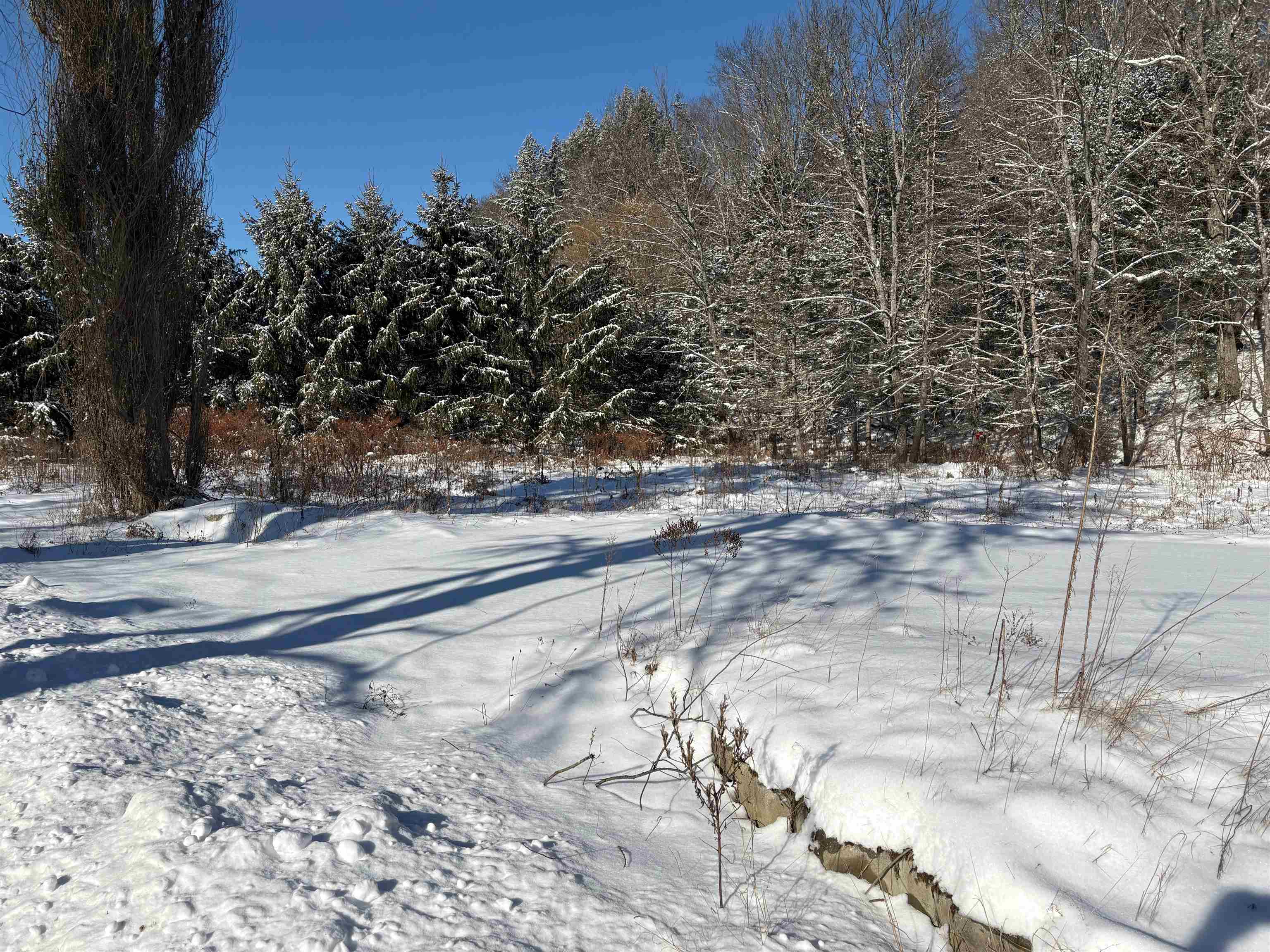 40 Fenton Road Chester, VT 05143 - Photo 37 of 37