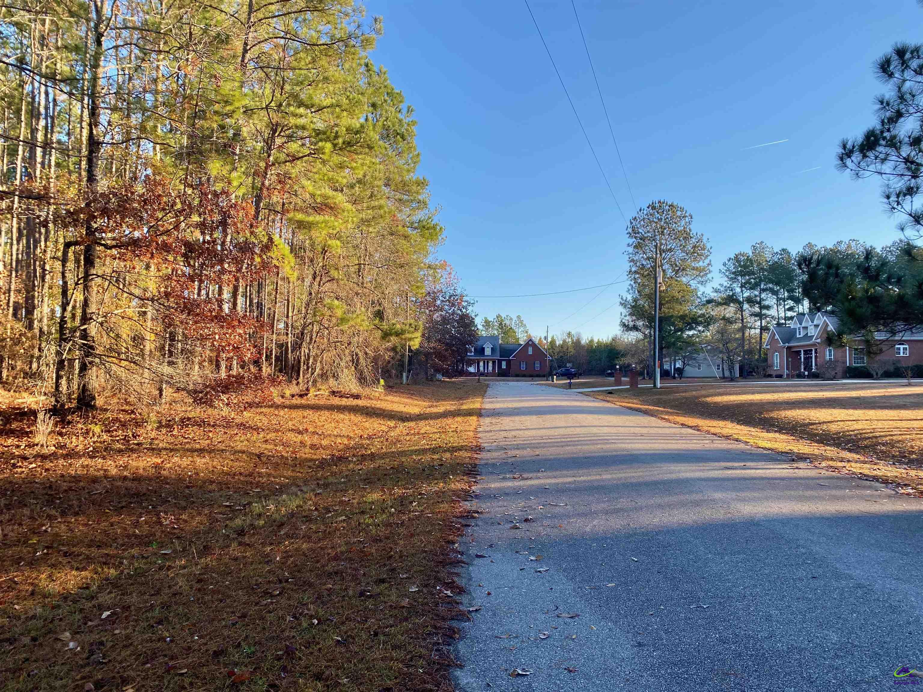 0 North Oak Ridge Drive Butler, GA 31006 - Photo 2 of 2