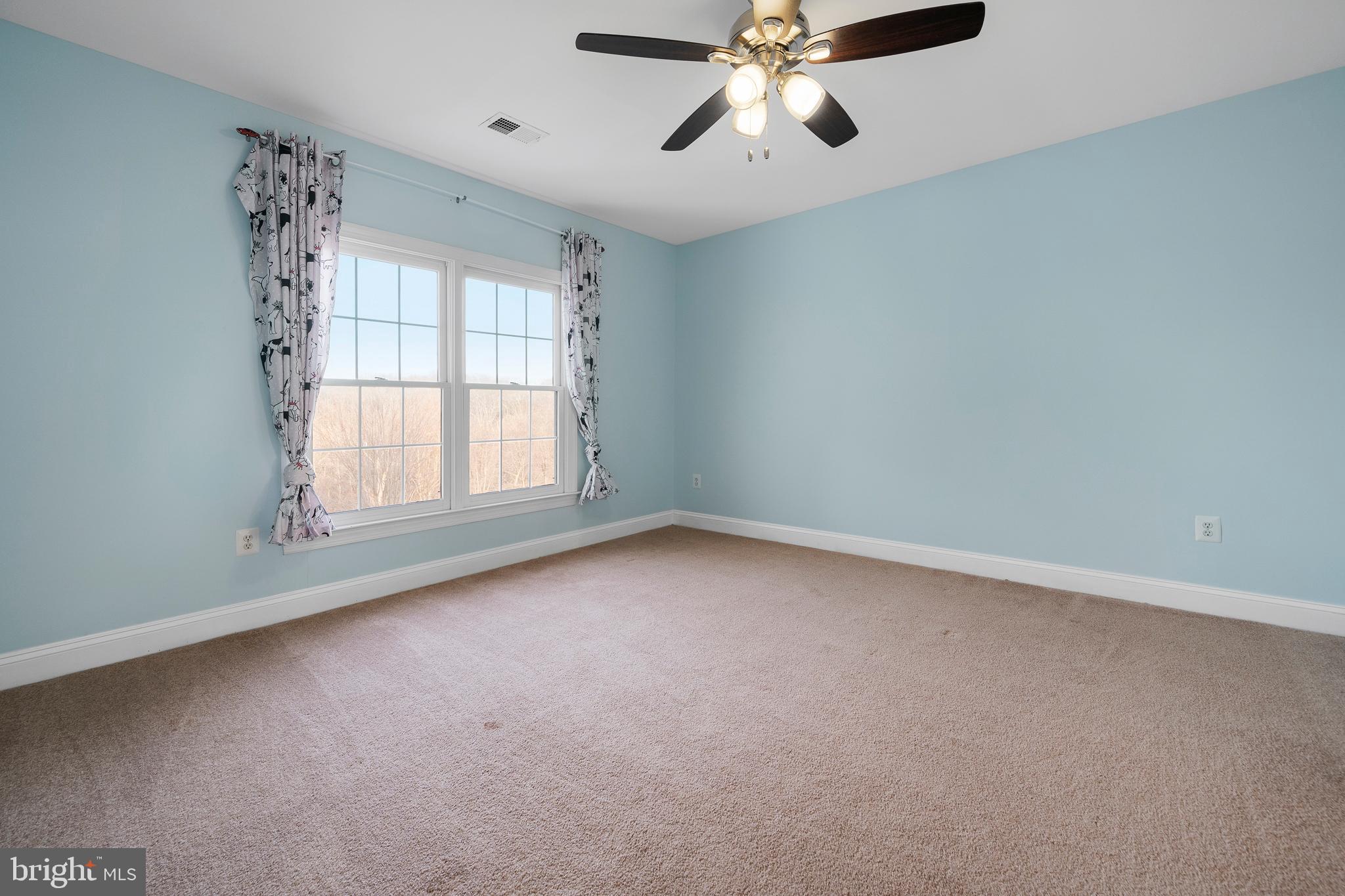 11306 Daysville Road Frederick, MD 21701 - Photo 57 of 68 Gallery Image 57