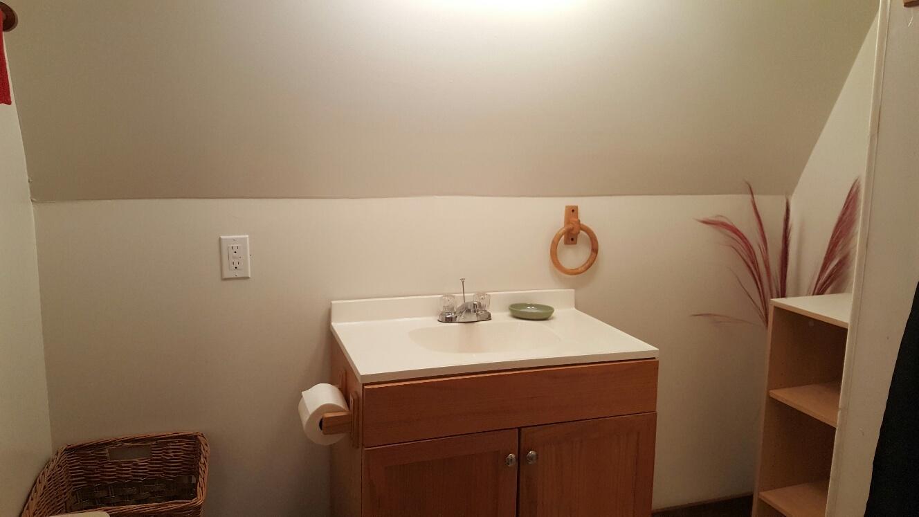 227 Chapman Road Dunlap, TN 37327 - Photo 16 of 22 Full Bath Vanity