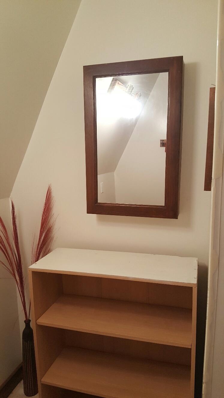 227 Chapman Road Dunlap, TN 37327 - Photo 17 of 22 Full Bath Mirror