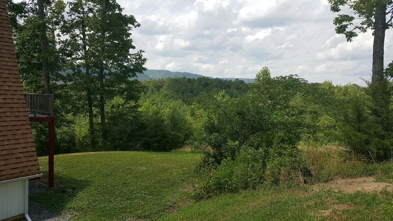 227 Chapman Road Dunlap, TN 37327 - Photo 18 of 22 Back Yard 2