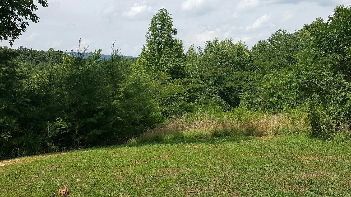 227 Chapman Road Dunlap, TN 37327 - Photo 19 of 22 Back Yard