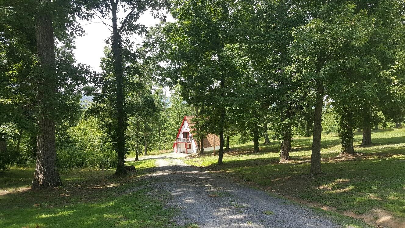 227 Chapman Road Dunlap, TN 37327 - Photo 20 of 22 Driveway to Chalet