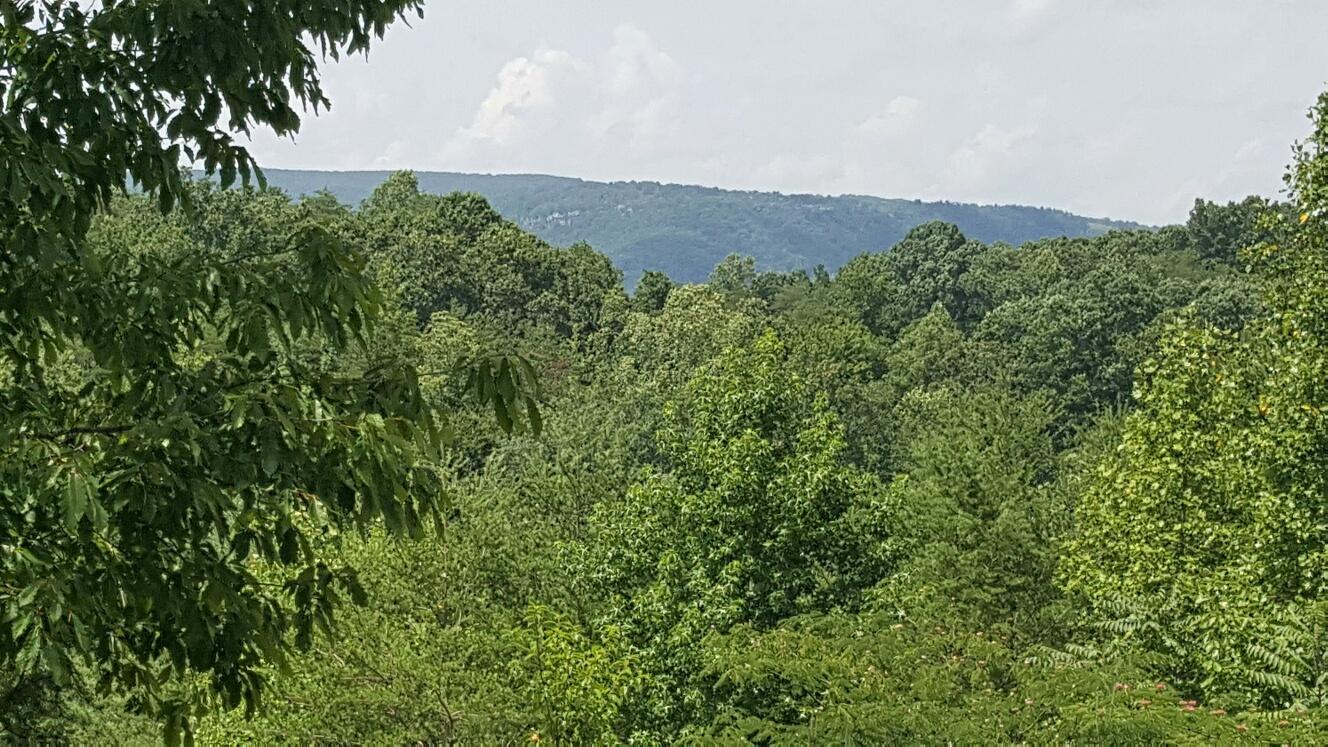 227 Chapman Road Dunlap, TN 37327 - Photo 5 of 22 View from 2nd story deck