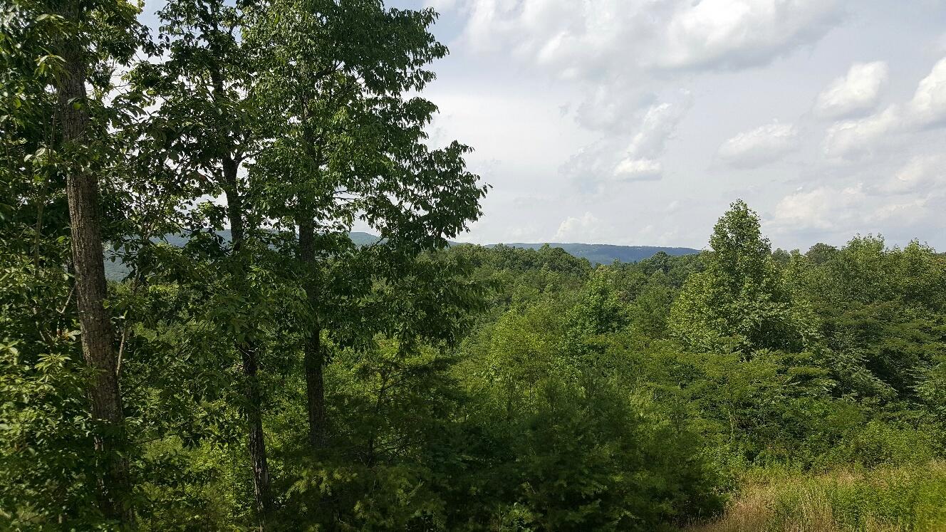 227 Chapman Road Dunlap, TN 37327 - Photo 6 of 22 View from 2nd Story Deck 3